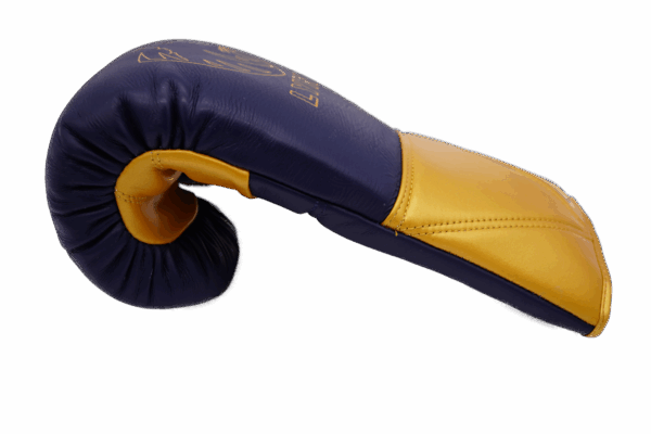 LYNX - "APEX Pro" - Blau/Gold - Echtleder – Bild 2