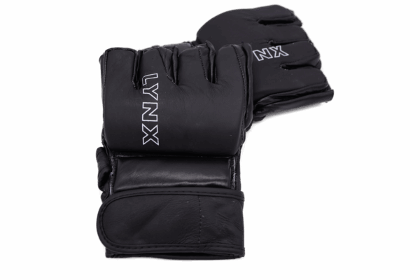 LYNX X-Hybrid – Bild 2